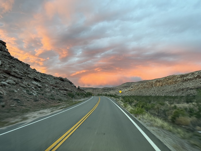 Man crouching beside a desert shrub with rocky hills under a clear blue sky
